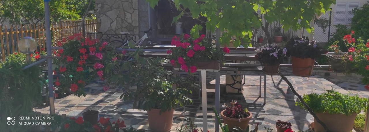 Orhideja Apartment Zadar Luaran gambar