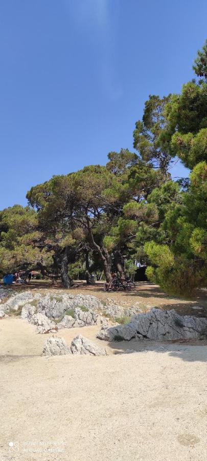 Orhideja Apartment Zadar Luaran gambar